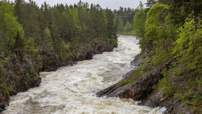 Vuoksen kuohut Imatrankoskessa.