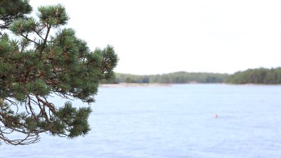 Havet i Kasnäs.
