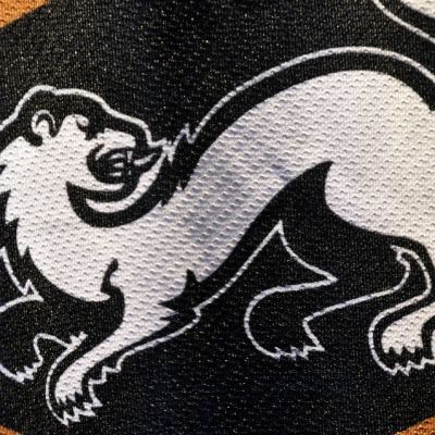 Kärppien logo.