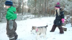 Hunden Lellu med familjens barn Joanna och Jannu. Hunden Lellu med barnen.