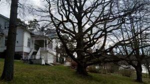 Familjen von Wrights sommarställe på Vuolax utanför Åbo vart de flyttade permanent. Familjen bodde där tills föräldrarna skilde sig när Moira von Wright var 13 år gammal. Vit villa vid vattenbrynet