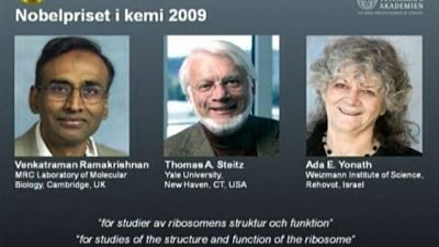 Nobelpriset i kemi 2009