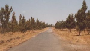 pölyinen maantie jossakin savannilla