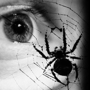 Hämähäkki verkossaan ja taustalla ihmisen silmä