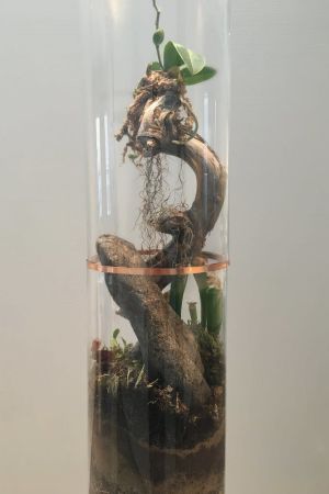 Verket Skenaario består av jord, trä och sand, men också plast. närbild på ett konstverk gjort av trä, mull och glas.