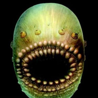 Saccorhytus
