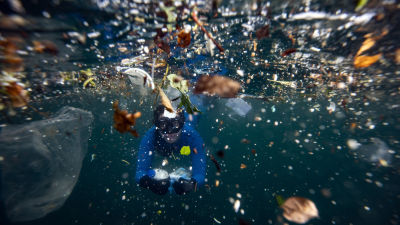 Plastskräp i havet