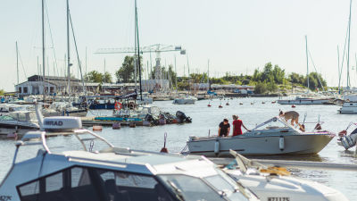 En båthamn med motor- och segelbåtar förtöjda i bryggarna. En motorbåt är i färd att kasta loss.
