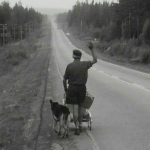 Arvo Saarinen koirineen protestimarssilla keskisuomalaiselle maantiellä 1967.