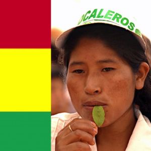 Vasemmalla Bolivian lippu ja oikealla nainen pureskelee kokanlehteä.