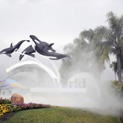 Kolme muovista miekkavalasta ponnistaa ilmaan SeaWorldin mainoksessa palmujen katveessa.