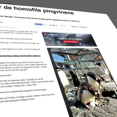 Kuvakaappaus Bergens Avisenin nettisivuilta jutusta, joka käisttelee aihetta.