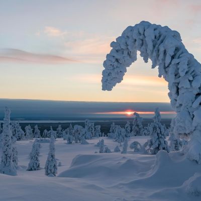 Lumen painamia puita ja matalalla paistava Aurinko.