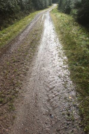 Den här vägen tyckte Anas GPS att han skulle cykla på. Som tur cyklade han med en mountain bike som klarar sandvägar. En av sandvägarna som Anas Haj Hasan cyklade på.