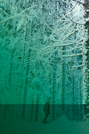 Abimix grafik för studentexamensproven i finska