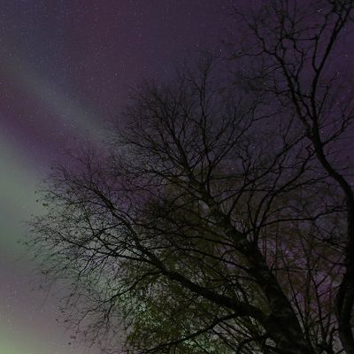 Revontulia viimevuoden lokakuulta.