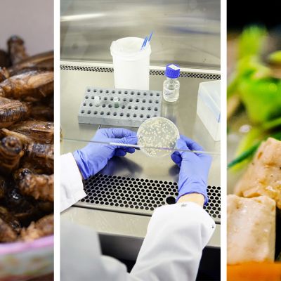 Erilaisia ruoka-aineita:  hyönteisiä, laboratoriovalkuaista ja kasvisruokaa