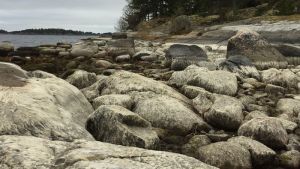 Vattnet har också varit ovanligt lågt i Ekenäs skärgård. Lågt vattenstånd i Ekenäs hösten 2016