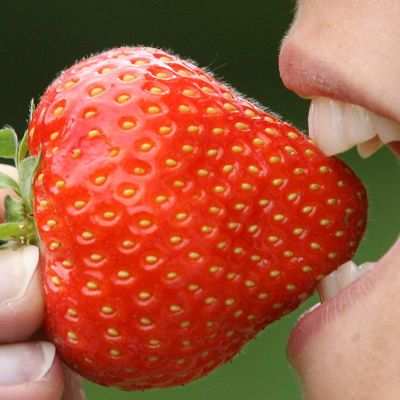 Nainen haukkaa mansikkaa