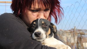 Salla Honkapää pitää koiraa sylissään Glinan koiratarhalla Romaniassa