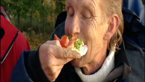 Brandade på gädda med hårdbröd | Recept | svenska.yle.fi