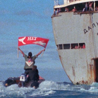 Greenpeace-aktivister försöker stoppa ett ryskt valfångsfartyg