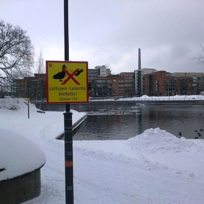 Tampereen Mältinrannassa on sorsien ruokintakielto.