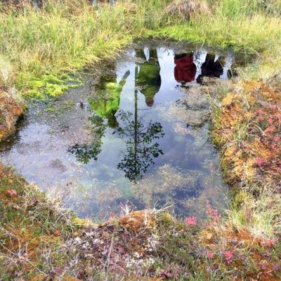 Soklin Jänesaavan lähteen peilissä Pohjois-Suomen aluehallintoviraston kaivoskatselmusväkeä, Savukoski 8.9.2015