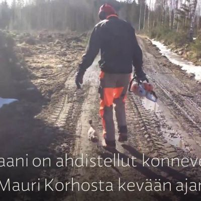 Vaakku ja Mauri