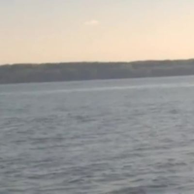 Uutisvideot: Juutinraumalla näkyi kaskelotti