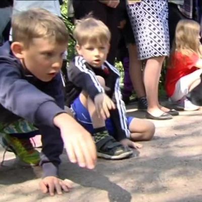 Uutisvideot: Koiranpentuparaati Helsingin Kaivopuistossa