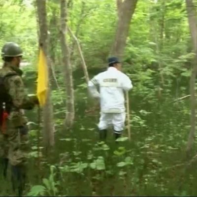 Uutisvideot: Metsään hylätyn ja kadonneen japanilaispojan tapaus päättyi onnellisesti