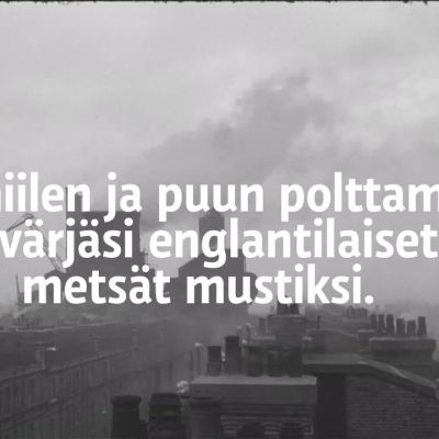 Uutisvideot: Miten koivumittariperhosesta tuli musta?
