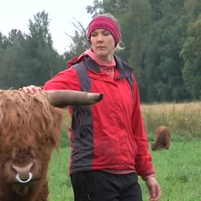 Yle Uutiset Pirkanmaa: Kestävä maatalous voi auttaa tiloja pärjäämään