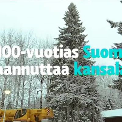 Jättikuusi valaistiin Mikkelissä