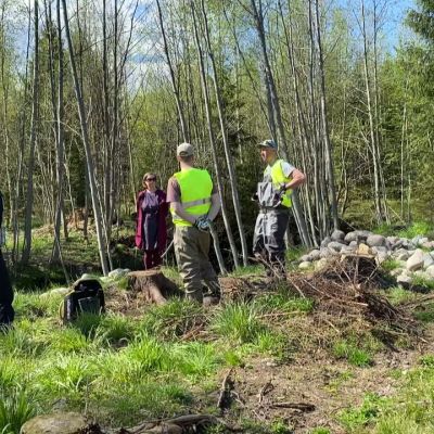 Rakkaus meritaimeniin houkutteli vapaaehtoistyöhön salaiselle purolle