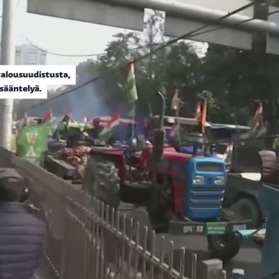 Viljelijät osoittivat mieltään Intiassa