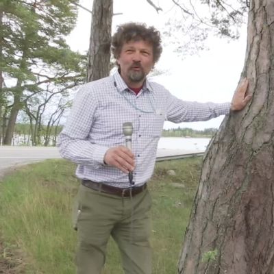 Saariston Rengastien suosio kasvaa