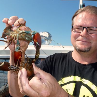 Kalatalousneuvoja Petri Mäkinen pitää käsissään kahta rapua