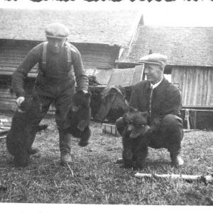Kuvassa Nikolai Ponkkonen ja Yrjö Rovio kolmen pyydystämänsä karhunpennun kanssa.