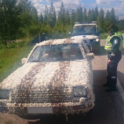 Poliisi jäi ihmettemään höyhenautoa