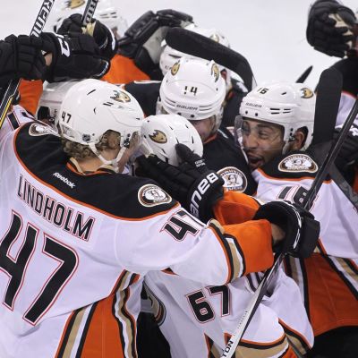 Ducks juhlii