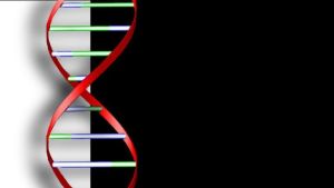 Dina dna-uppgifter är konfidentiella, men kan till exempel delas anonymt med forskare om du vill. DNA