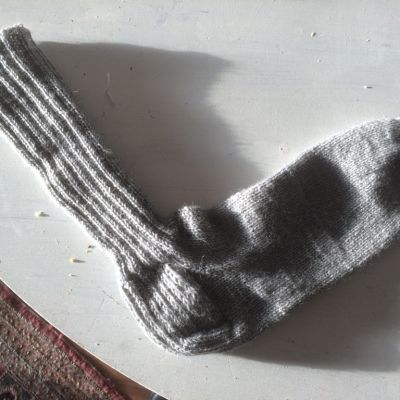 Villasukka, joka on menettänyt parinsa elämän myrskyissä