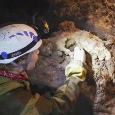 Siperiasta löydetyt luolaleijonan muumiot ovat säilyneet hämmästyttävän hyvin