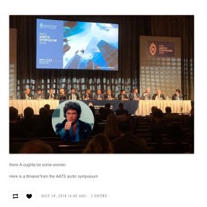 Skärmdump från sidan Congrats, you have an all male panel! En skärmdump på en paneldiskussion med enbart kostymklädda män. Utanpå finns en rund bild på David Hasselhoff som visar tummen upp.