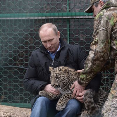Putin pitää sylissään lumileopardia.