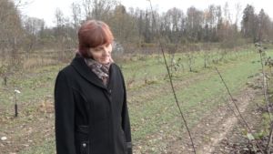Kersti Kahu ser med kärlek på plommonträdet av sorten Ave. Kersti Kahu ser med kärlek på ett plommonträd av sorten Ave.