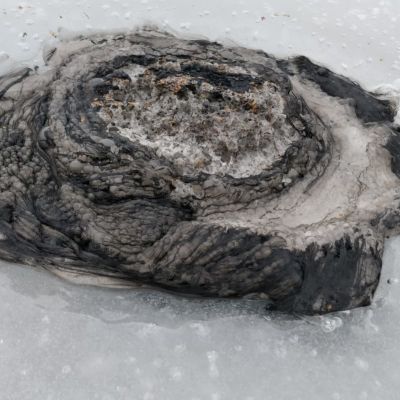 Pilkkijä huomasi mustaa ainetta Kolmisoppi-lammella Kuopiossa. Lampi sijaitsee lähellä Vuorilammen Natura-aluetta.