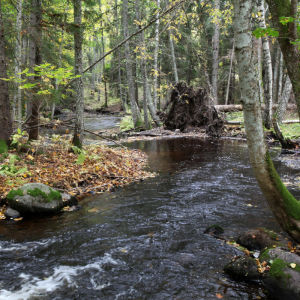 Bild på vattendrag mellan Kullasjön och Pojoviken.
